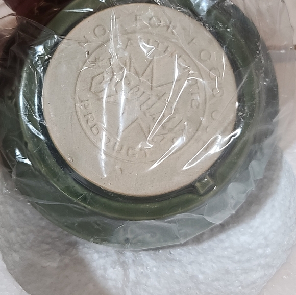 NIB Green English Ivy Full Size Scentsy wax warmer - Picture 8 of 13